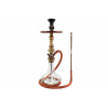 Shisha Amazon Future