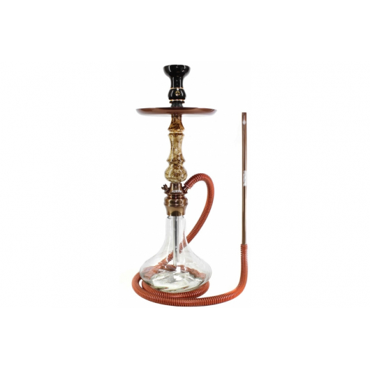 Shisha Amazon Future