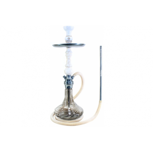 Shisha Amazon Future