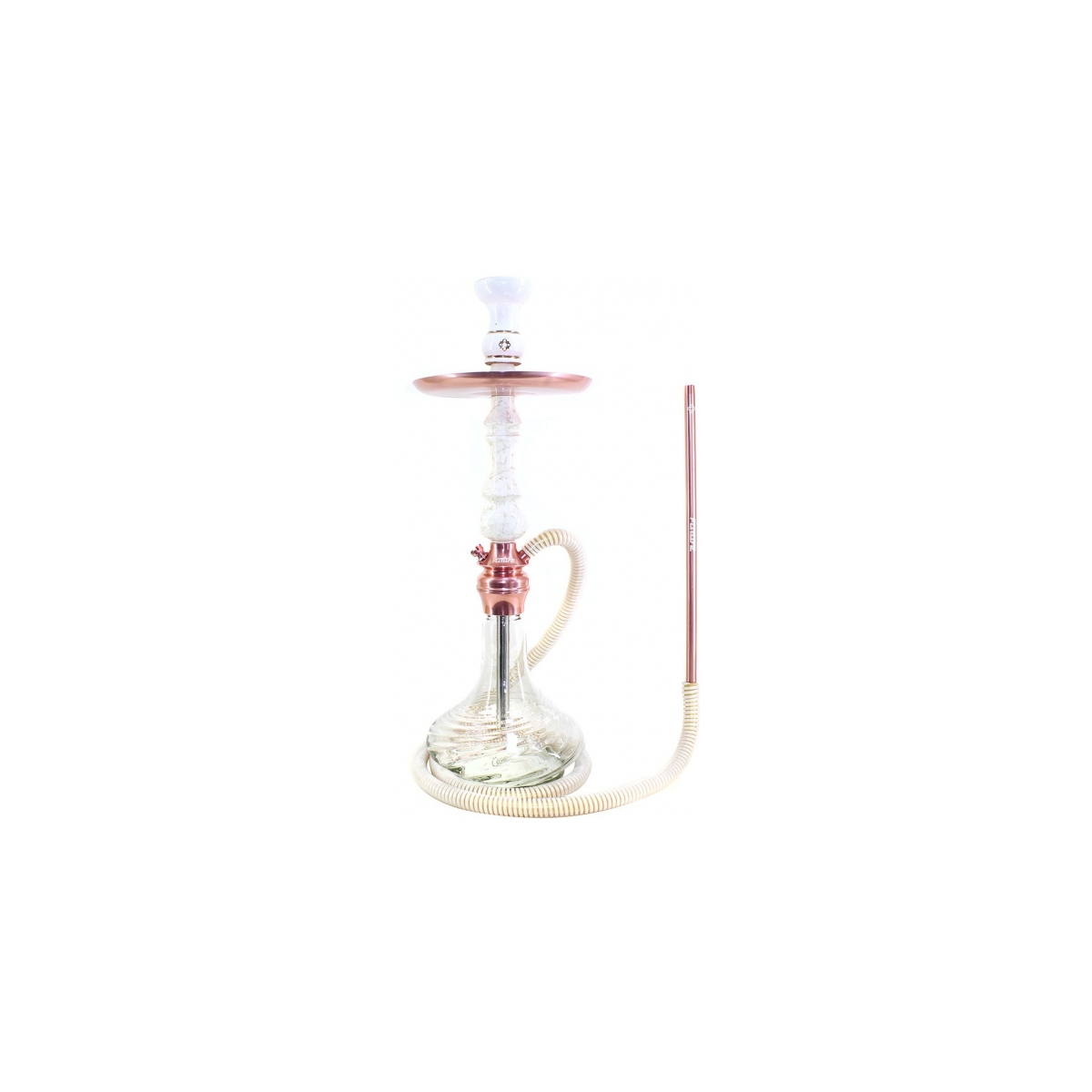 Shisha Amazon Future