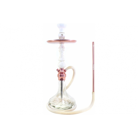 Chicha Amazon Future