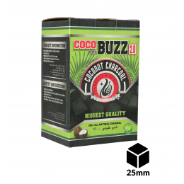 Charbons COCOBUZZ 2.0