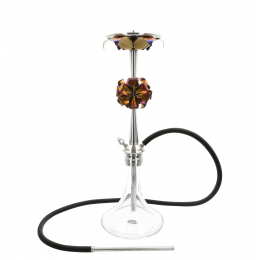 Chicha Maklaud Rose
