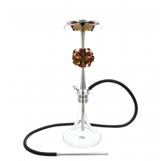 Shisha MAKLAUD ROSE