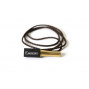 SPECIAAL MONDSTUK EMBERY GOLD