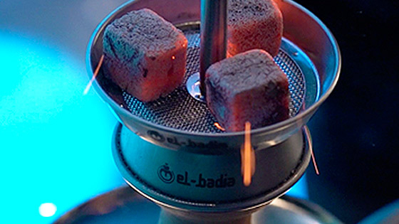 Shisha Köpfe